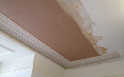 Ceiling repair & Cornice replacement, Plymouth