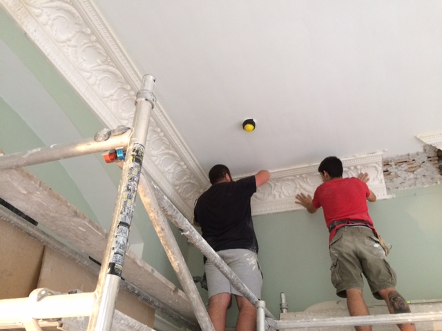 plaster cornice restoration work in Newton Abbot